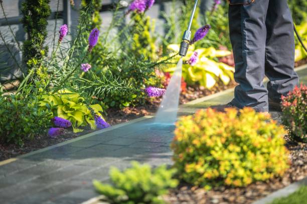 Best Concrete Surface Cleaning in Sheldon, IA