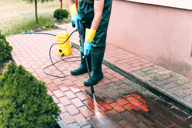 Best Sidewalk and Walkway Pressure Cleaning in Sheldon, IA